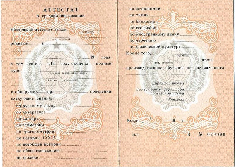 Купить диплом ВИЭСУ на бланке Процесс и Советы