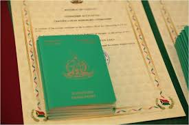 The Cost of Vanuatu Citizenship A Comprehensive Guide 896736002 The Cost of Vanuatu Citizenship A Comprehensive Guide 896736002