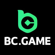 The Complete Guide to BC.Game App Download Process
