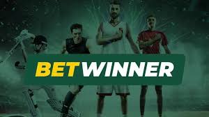 Explore BetWinner Sportsbook Your Guide to Online Betting