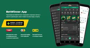 Complete Guide to BetWinner Registration 476182848