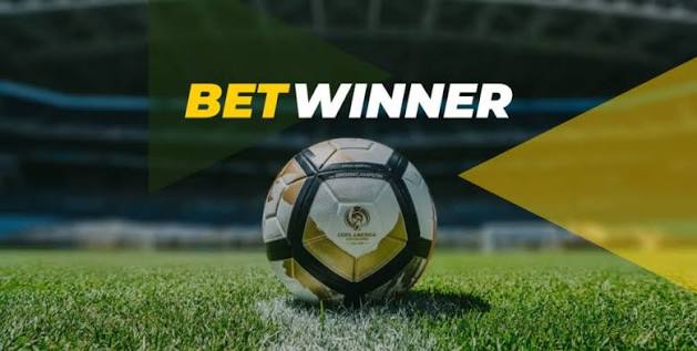Experience Thrilling Gaming at BetWinner Casino