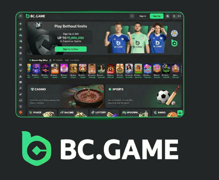 The Ultimate Guide to JB Casino Platform 1312100021